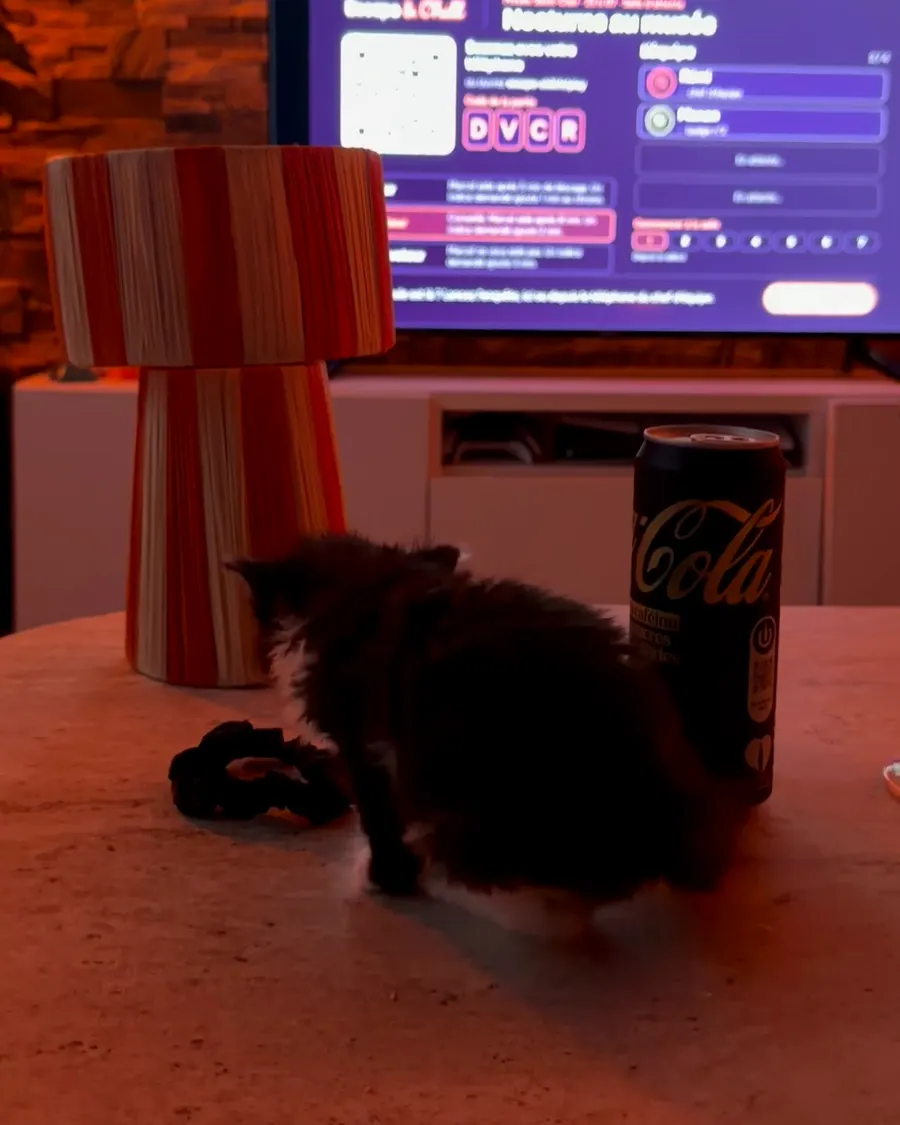 Un chaton sur la table basse devant la télé où tourne le jeu